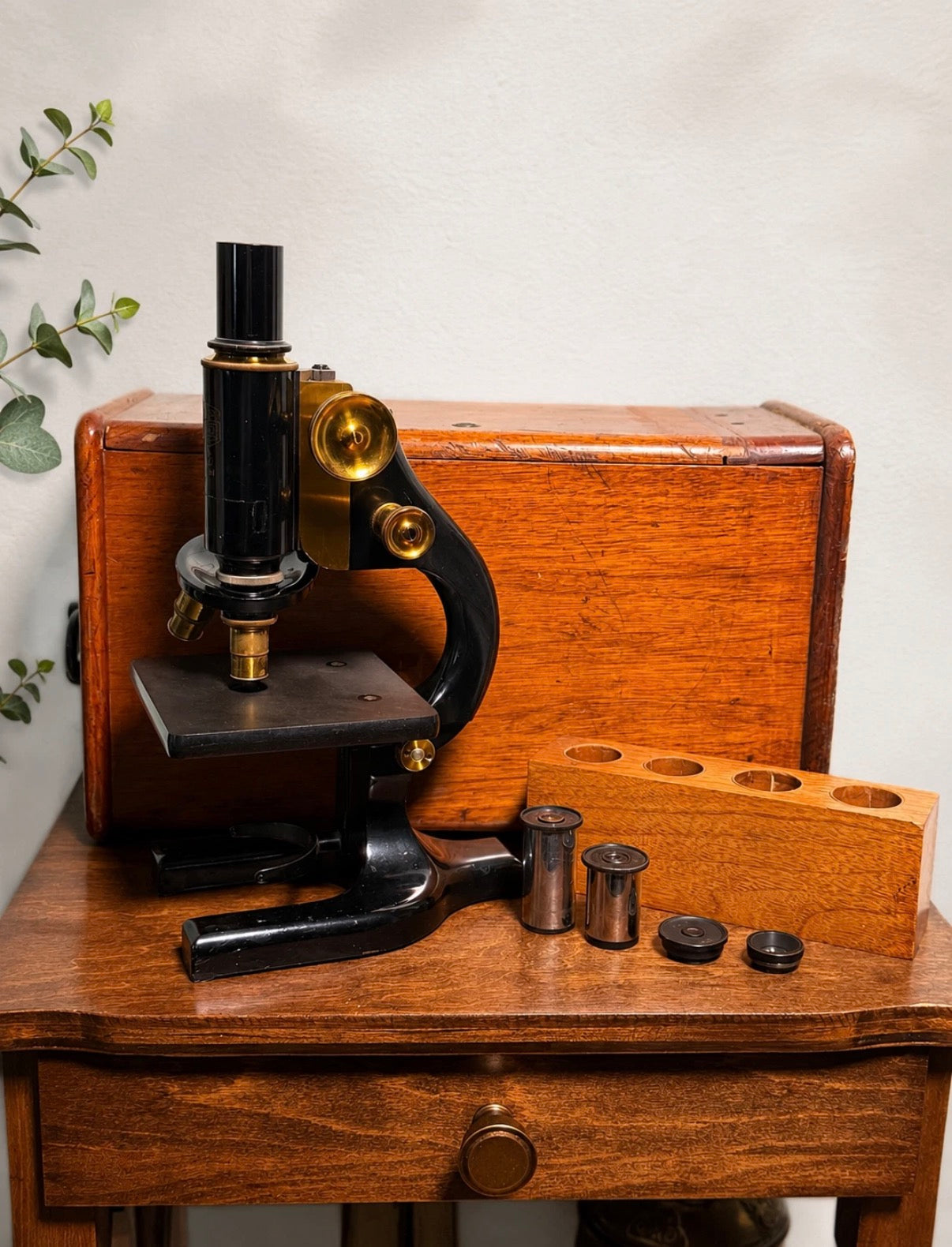 Vintage Spencer Buffalo Microscope w/ Original Wood Case UC Provenance Untested